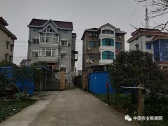 特色农产品是什么?特色农产品是谁提出来的?