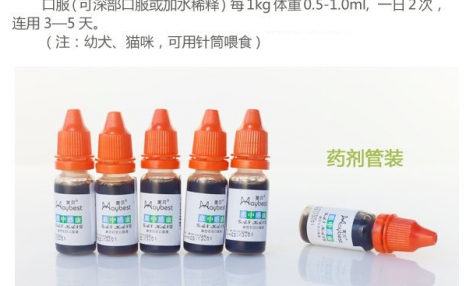 狗感冒吃什么药？人用感冒药一定要慎用