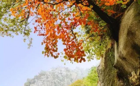 秋天应该去哪里旅游（秋天适合去什么地方旅游（秋天适合去哪里玩）