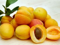 杏子市场价格多少钱一斤,吃杏子有什么好处
