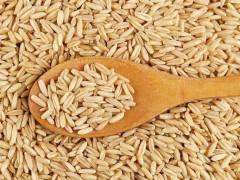 燕麦米市场价格多少钱一斤,燕麦米可以泡一晚上