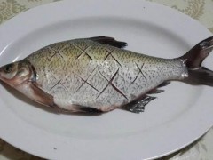 武昌鱼市场价格多少钱一斤,,孕妇可以吃武昌鱼吗