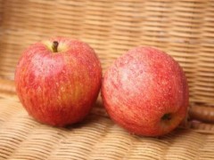 红富士苹果功效与作用,红富士苹果营养价值