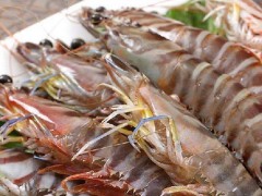 老虎虾市场价格多少钱一斤,老虎虾是哪个国家的