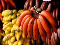 红香蕉市场价格多少钱一斤,红香蕉产地在哪里