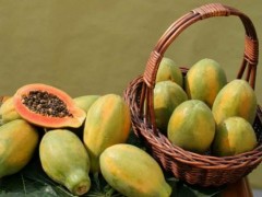 番木瓜的功效与作用及禁忌,番木瓜的营养价值