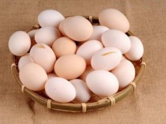 散养鸡蛋市场价格多少钱一斤,散养鸡吃什么产蛋