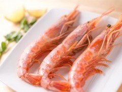 阿根廷红虾市场价格多少钱一斤,阿根廷红虾为什