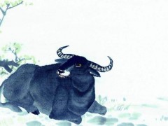 梦见水牛是什么意思,梦到一群大水牛在一起有什么预兆