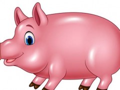 1959、1971、1983、1995、2007、2015年属猪的分别是什么命,属猪的今年的运势