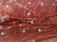 猪肉绦虫能高温杀死吗?