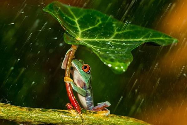 梦见被大雨淋湿是什么意思 女人梦到下大雨淋湿自己有什么预兆