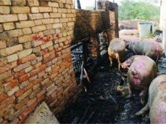 养猪场如何预防火灾