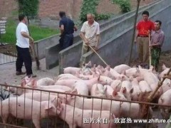 猪场养殖废水的处理技术