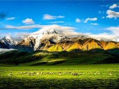 西藏“一村一品”：助推特色农业产业化