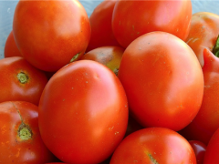 西红柿价格近四个月上涨84%！货源少导致频繁刷新零售价