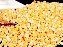新季玉米上市价格将下跌,专家预测2020玉米价格有望上涨！（附各地最新