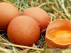 鸡蛋价格或将超6元一斤！未来价格走势如何？附分析师建议