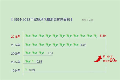 数说新中国70年农业农村巨变（全文）