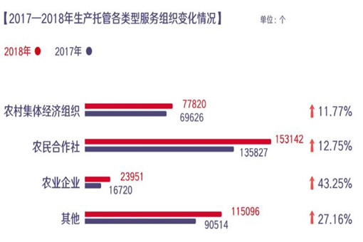 数说新中国70年农业农村巨变（全文）