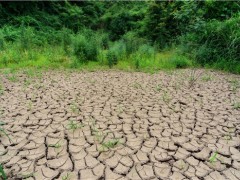 中国气象局：长江中下游受干旱影响,农业发展短时间内会减产！