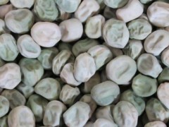 卖种子利润大吗?需要什么手续?用什么营销方法?