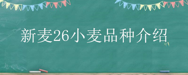 新麦26小麦品种介绍