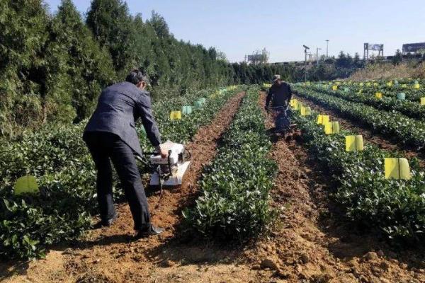 土壤改良方法？关于土壤改良的问题！