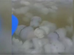乌克兰巨大水母群覆盖海面！什么原因造成的？水母有毒吗？