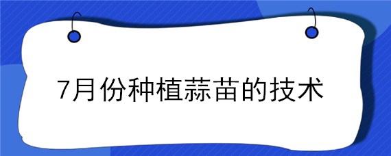 7月份种植蒜苗的技术