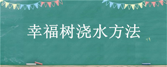 幸福树浇水方法