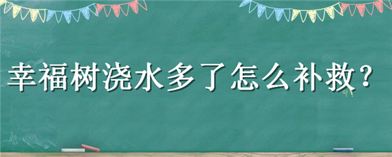 幸福树浇水多了怎么补救