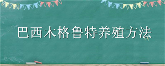 巴西木格鲁特养殖方法