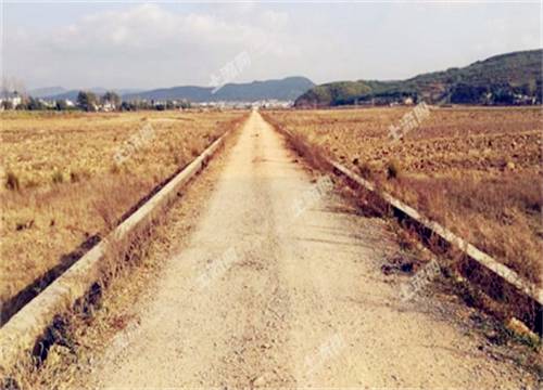 因土地纠纷两村村民互射烟花