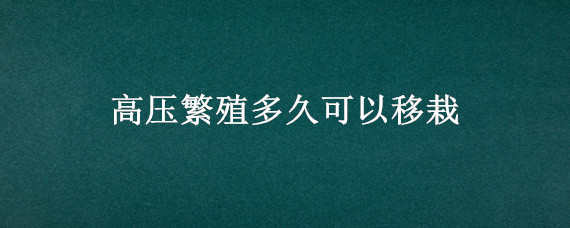 高压繁殖多久可以移栽