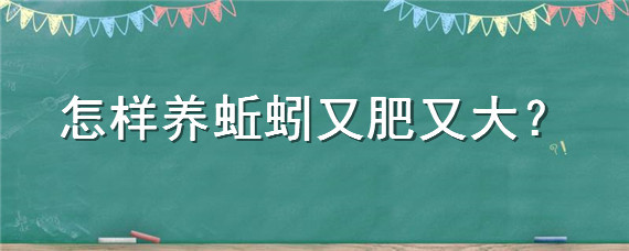 怎样养蚯蚓又肥又大