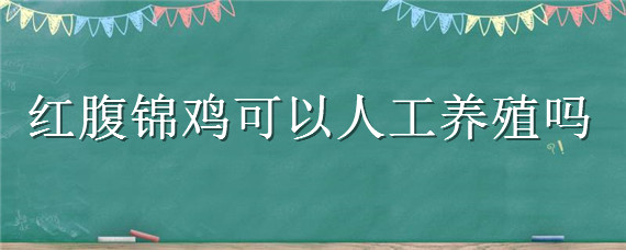 红腹锦鸡可以人工养殖吗