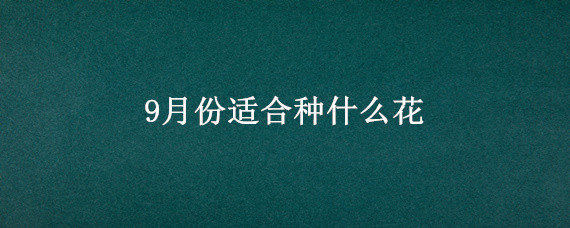 9月份适合种什么花