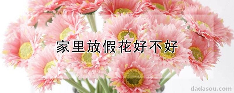 家里放假花好不好