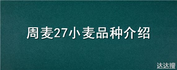 周麦27小麦品种介绍