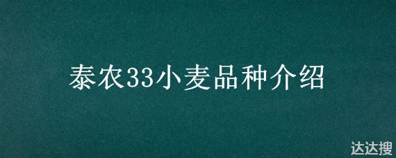 泰农33小麦品种介绍 泰农33小麦品种简介