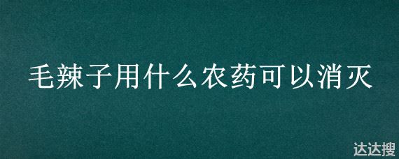 毛辣子用什么农药可以消灭