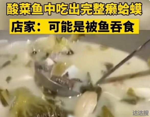 为什么餐厅吃酸菜鱼吃出癞蛤蟆 美团吃到异物赔偿1000