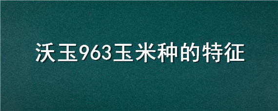 沃玉963玉米种的特征 沃玉963玉米种能夏播吗