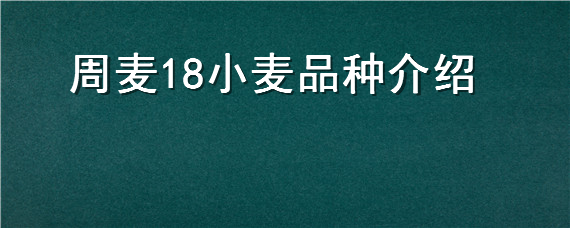 周麦18小麦品种介绍