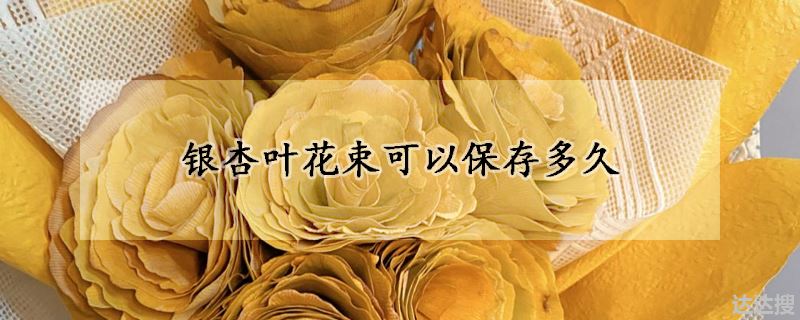 银杏叶花束可以保存多长时间（银杏叶花束可以保存多久）