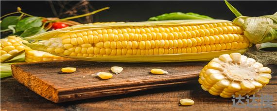联美玉8号玉米种子特性特征