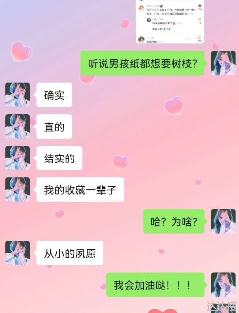 情人节送树枝什么梗3