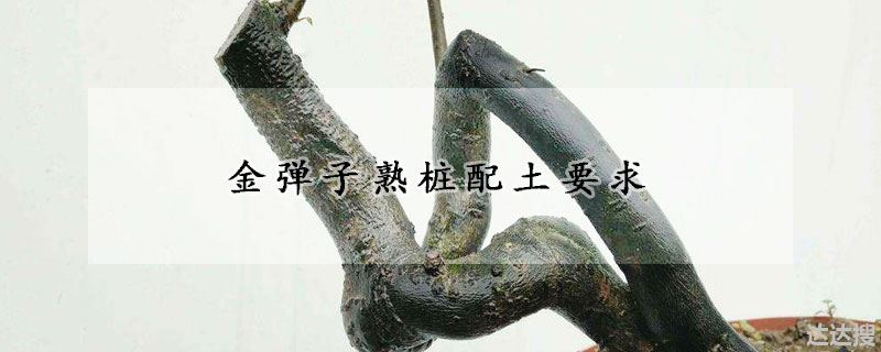 金弹子熟桩配土要求