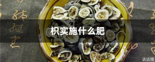 枳实施什么肥